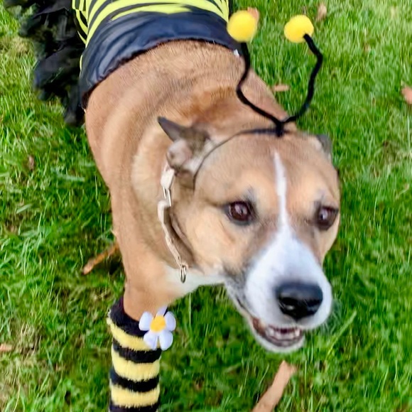 Meet your Posher, Donna - Picture 1 of 1